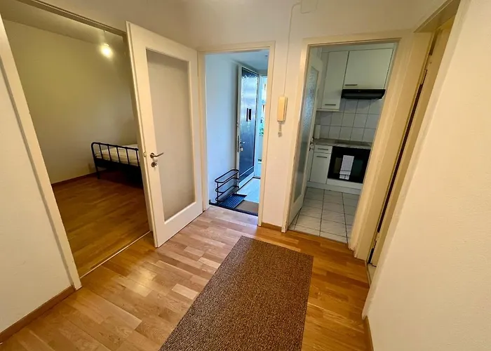 Basic & Comfy On Langgruetstrasse Curych